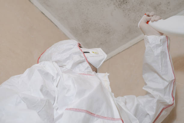 Best Mold Testing  in Burtonsville, MD